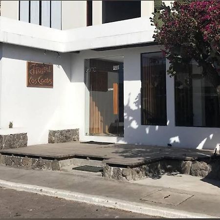 Cactus Puerto Baquerizo Moreno Exterior foto