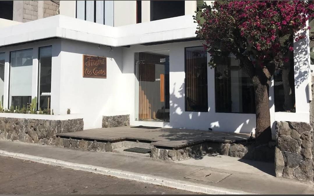 Cactus Puerto Baquerizo Moreno Exterior foto